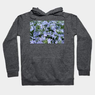 Mountain Phlox Hoodie